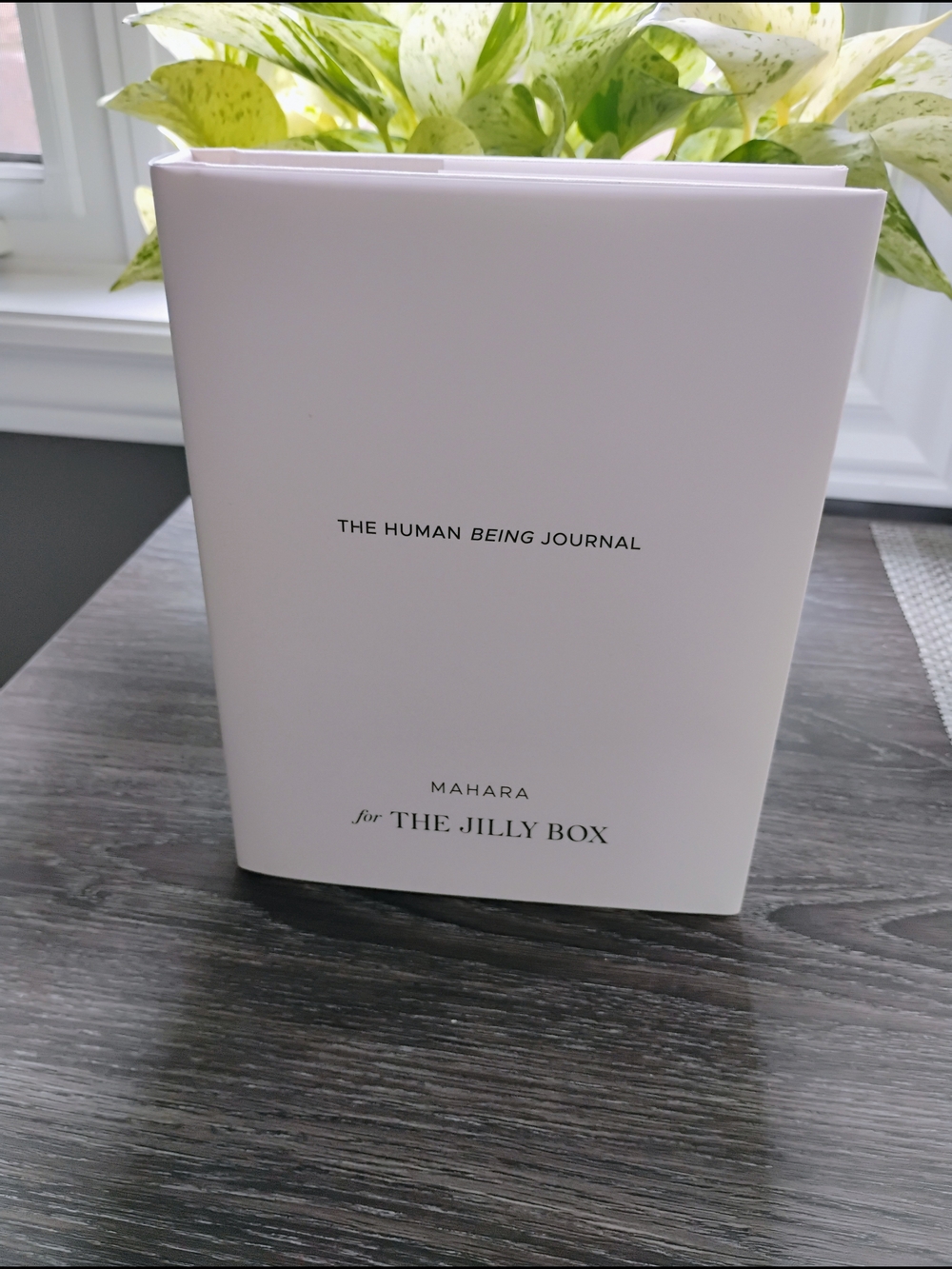 The Human Being Journal - Mahara for The Jilly Box